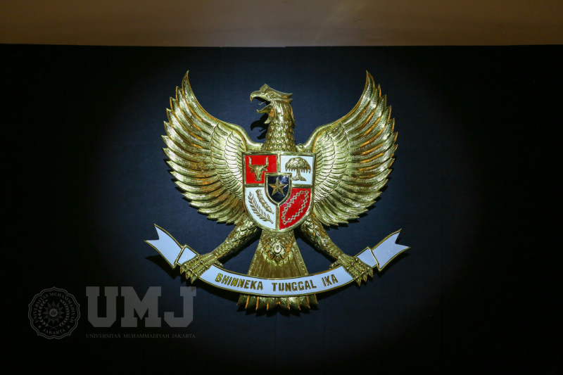 UMJ_1136-Original-Size