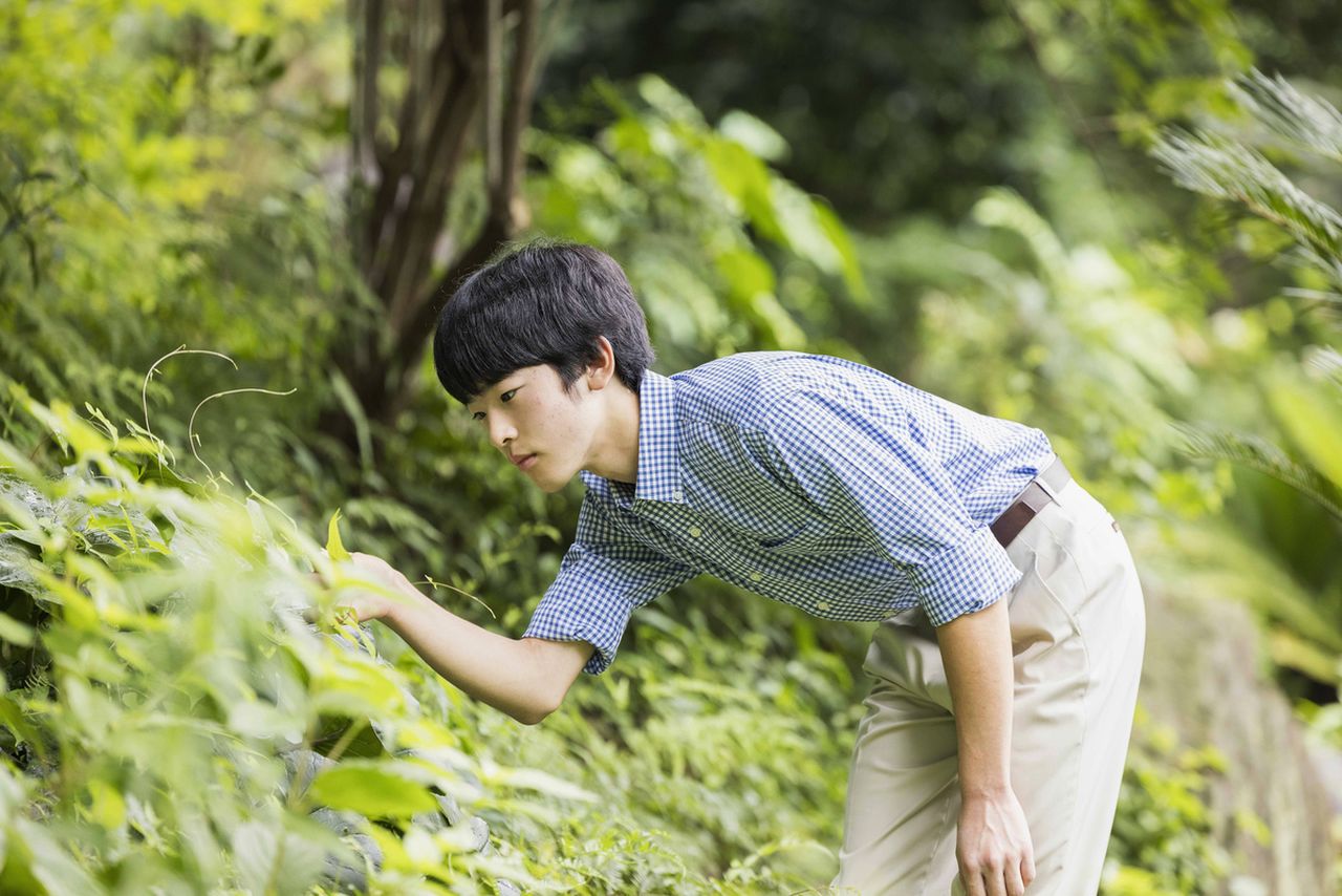 Pangeran Hisahito