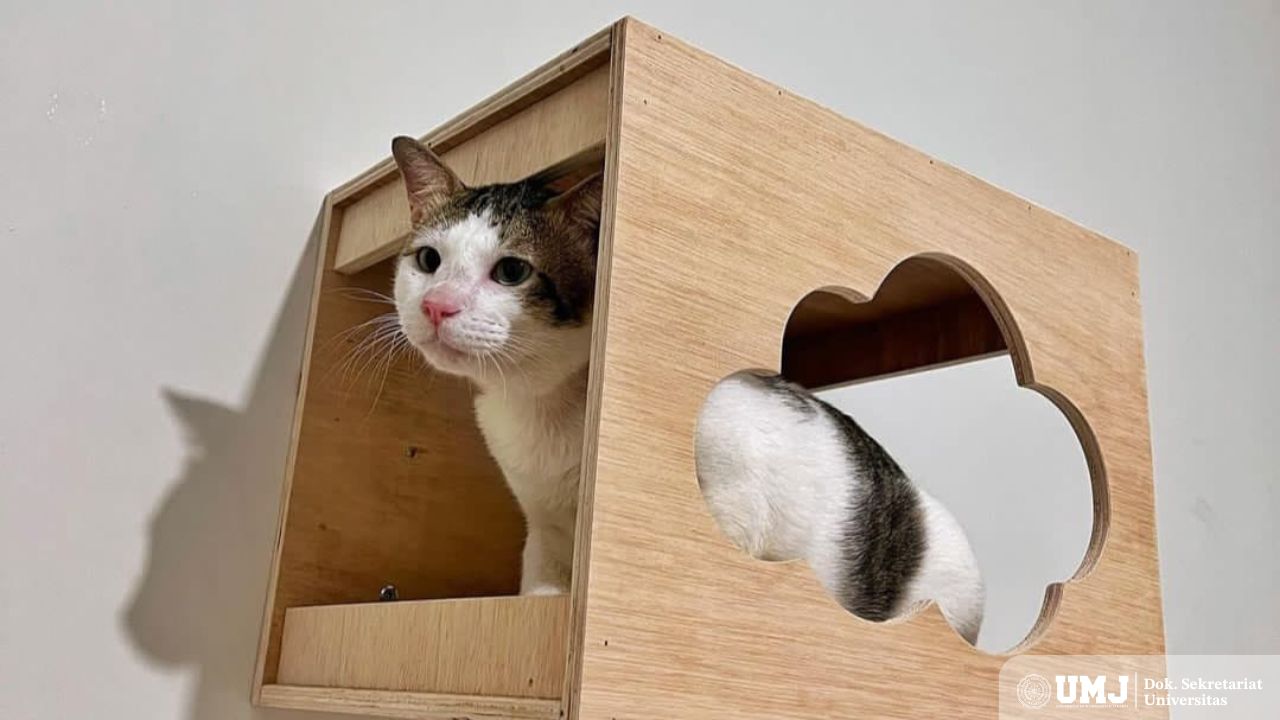 Bobby Kartanegara, Kucing Prabowo yang Hadir di Istana Negara