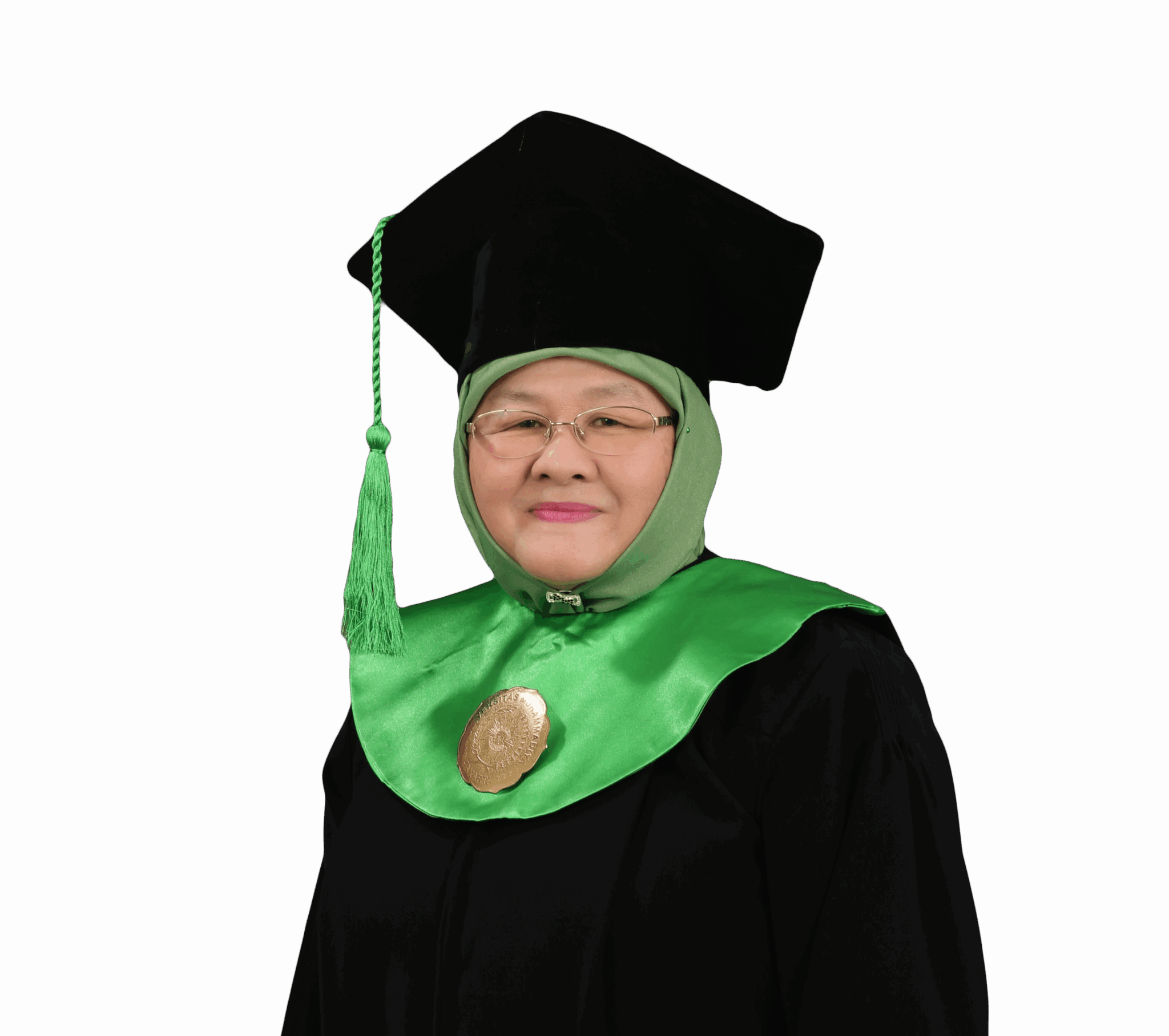 Prof. Dr. Ir. Elfarisna, M.Si.