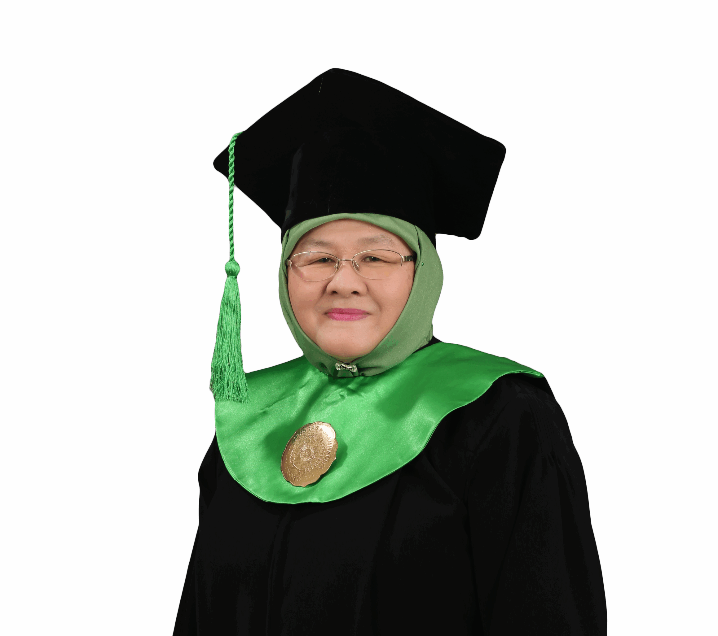 Prof. Dr. Ir. Elfarisna, M.Si.