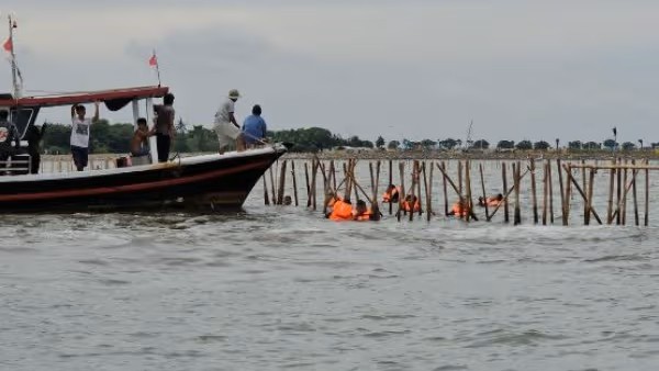 Proses pembongkaran pagar laut di kawasan Tangerang, Sabtu (18/01/2025) (Foto : IDN Times Banten)