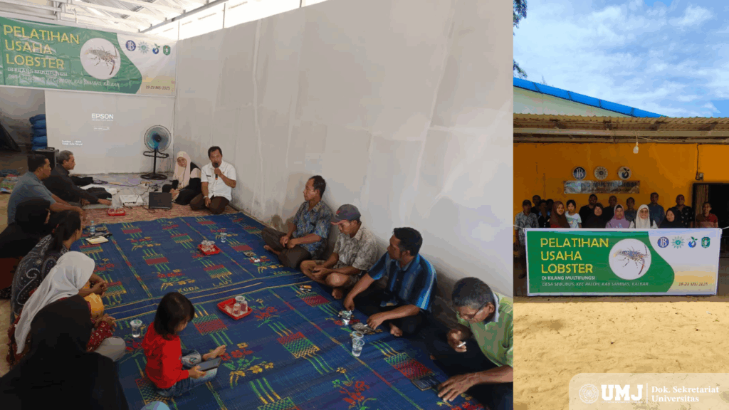 PSPP UMJ Tingkatkan Kewirausahaan Nelayan Melalui Budidaya Lobster