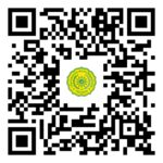 QR Code Launching Aiman dan Aisha
