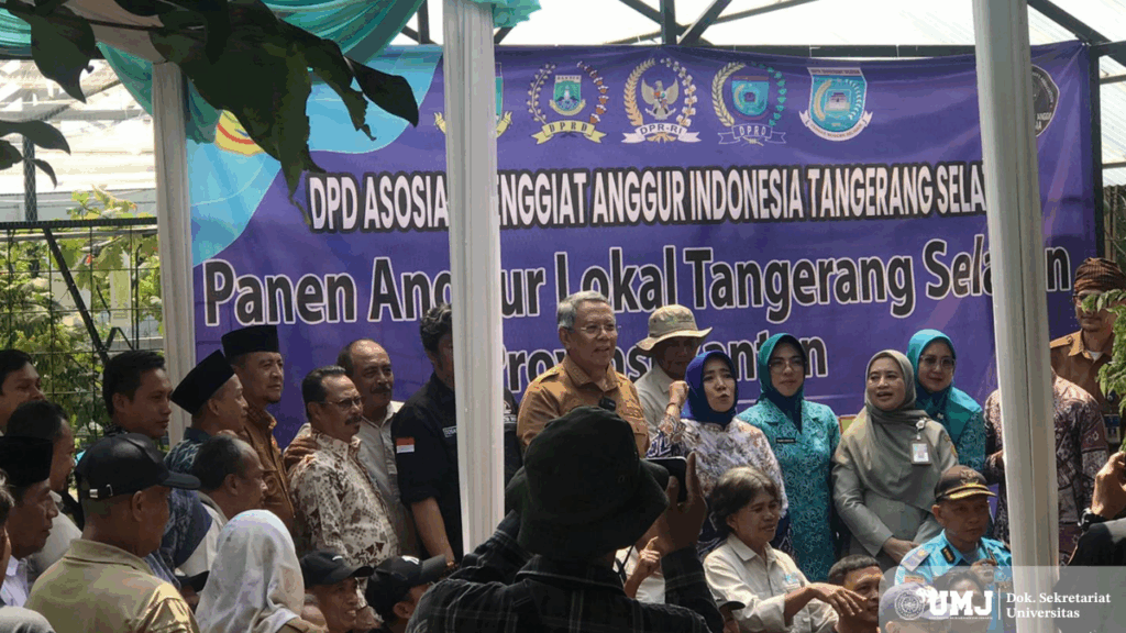 Kegiatan panen anggur lokal di Ciputat Timur, Tangerang Selatan, pada Senin (04/08/2025). (Foto: Dok. Pribadi)