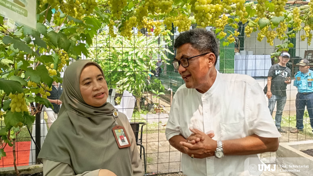 Dosen Pembimbing Lapangan KKN Tematik Kelompok 22 UMJ, Dr. Mas Ahmad Yani, S.H.,M.Si., (sebelah kanan), berdiskusi dengan Staff Direktorat Buah dan Florikultura Kementerian Pertanian RI ,Sri Haryati (sebelah kiri) usai kegiatan panen anggur di Ciputat Timur, Tangerang Selatan, pada Senin (04/08/2025). (Foto: Dok. Pribadi)